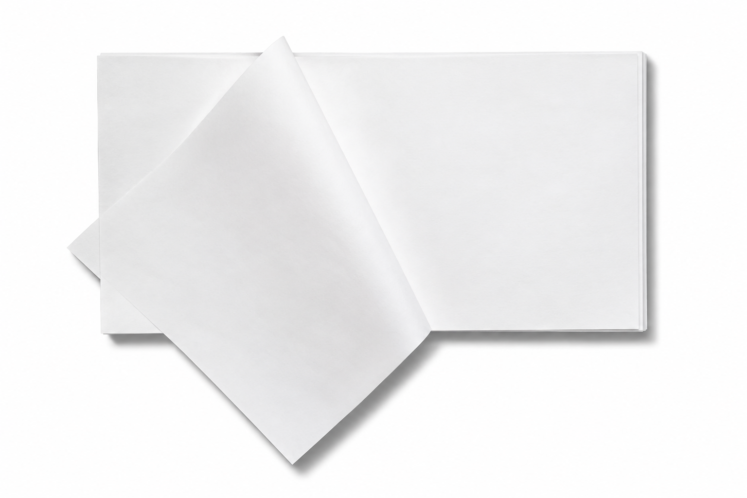 PAPIERS PLATEAU50 Papier plateau 32,5 x 50 cm 10 KLG – Image 1